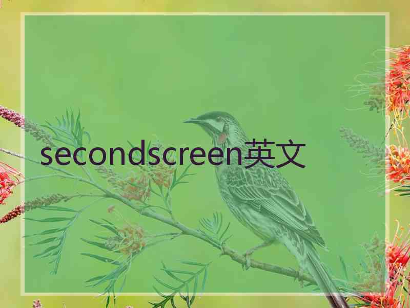 secondscreen英文