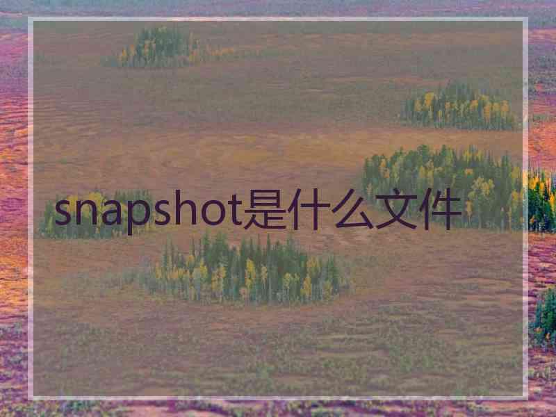 snapshot是什么文件