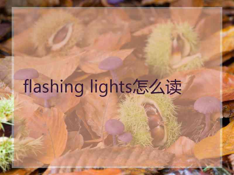 flashing lights怎么读