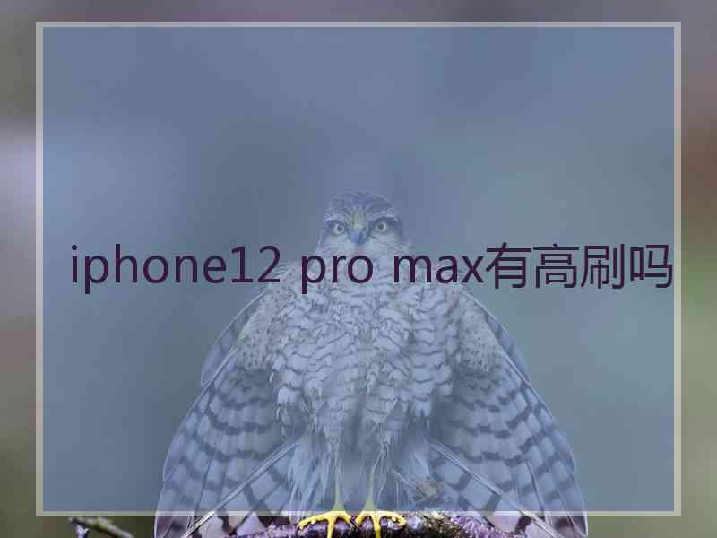 iphone12 pro max有高刷吗