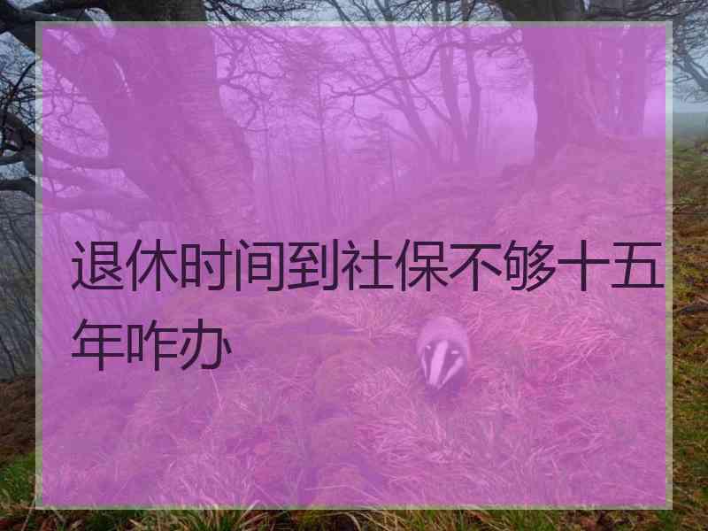 退休时间到社保不够十五年咋办