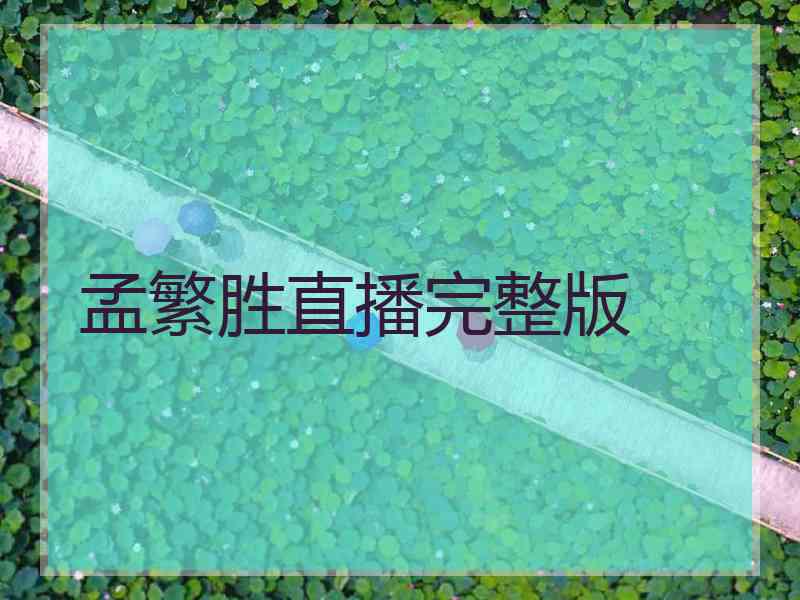 孟繁胜直播完整版