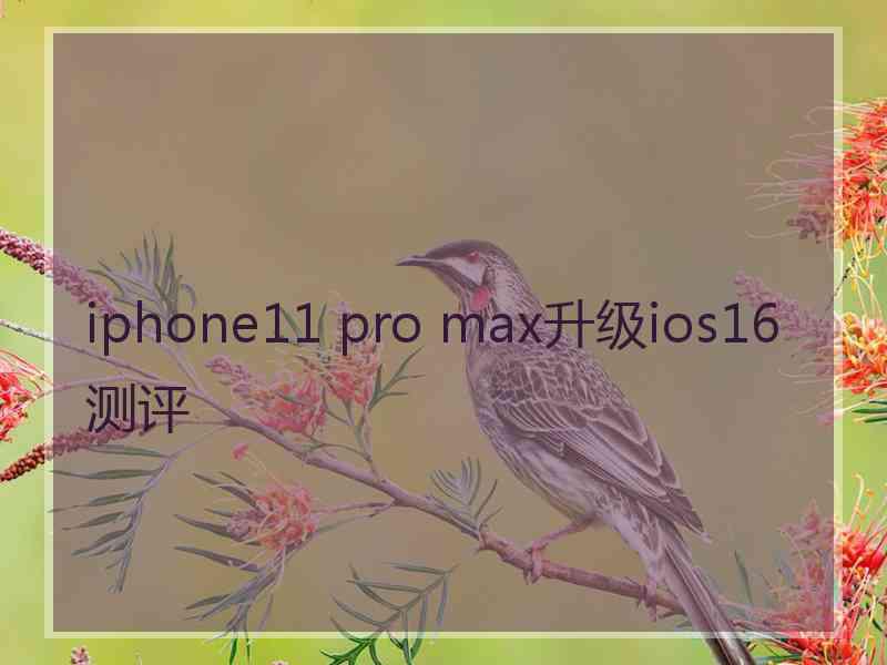 iphone11 pro max升级ios16测评