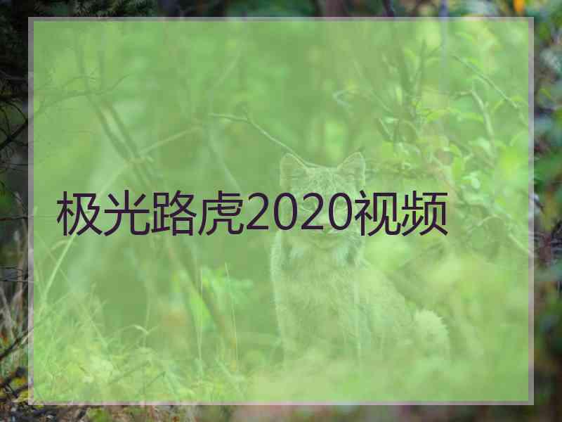 极光路虎2020视频