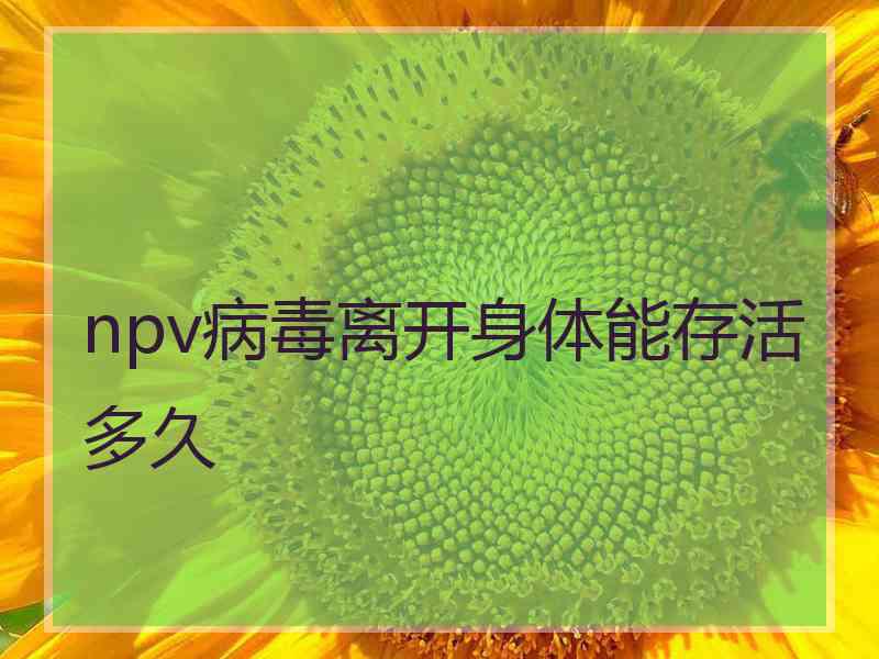 npv病毒离开身体能存活多久