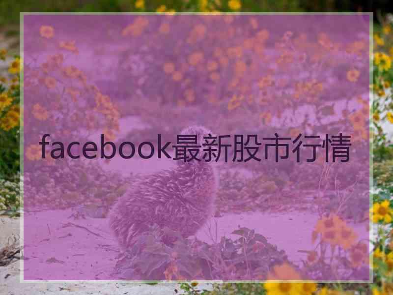 facebook最新股市行情