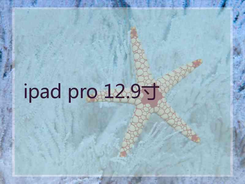 ipad pro 12.9寸