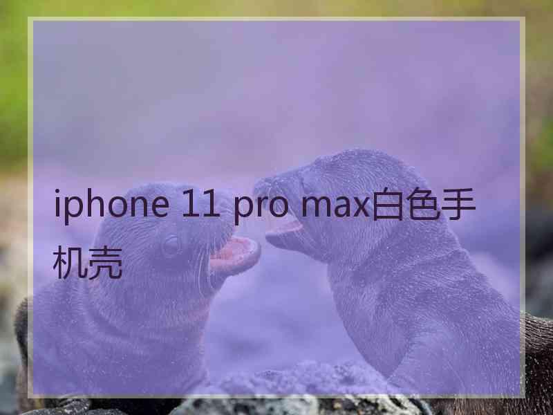 iphone 11 pro max白色手机壳