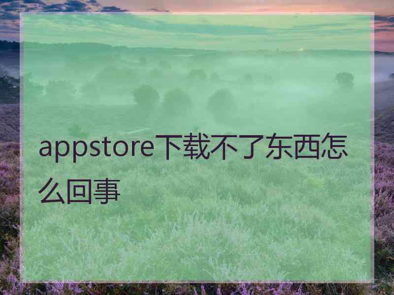 appstore下载不了东西怎么回事