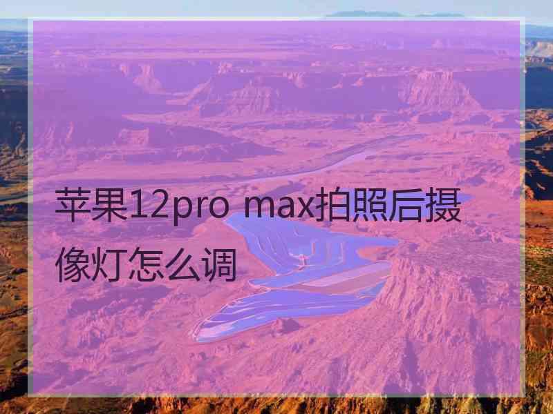 苹果12pro max拍照后摄像灯怎么调