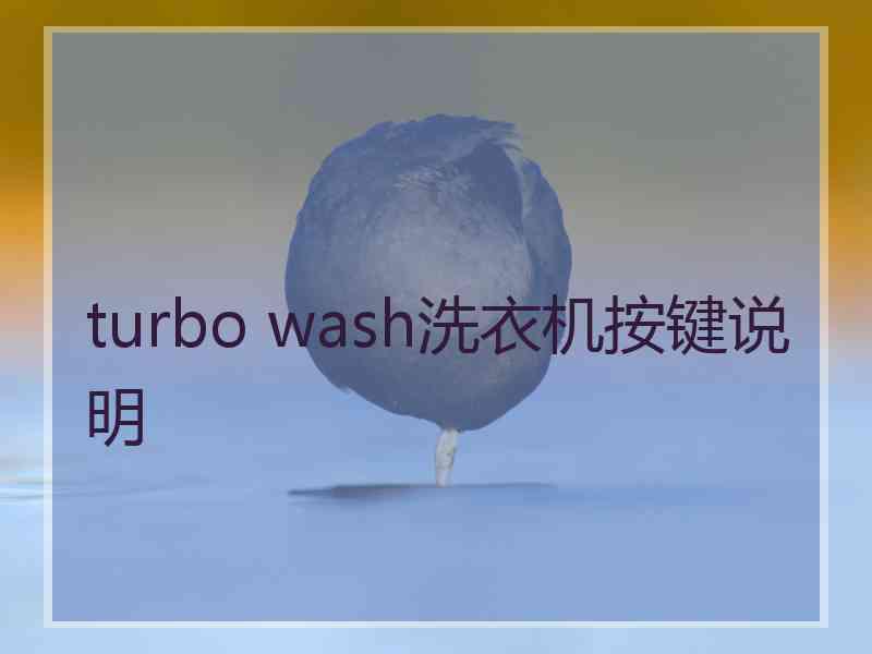 turbo wash洗衣机按键说明