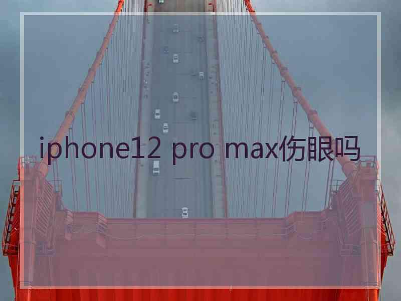 iphone12 pro max伤眼吗