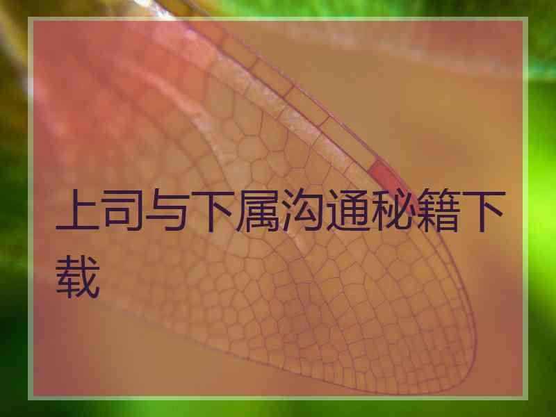 上司与下属沟通秘籍下载