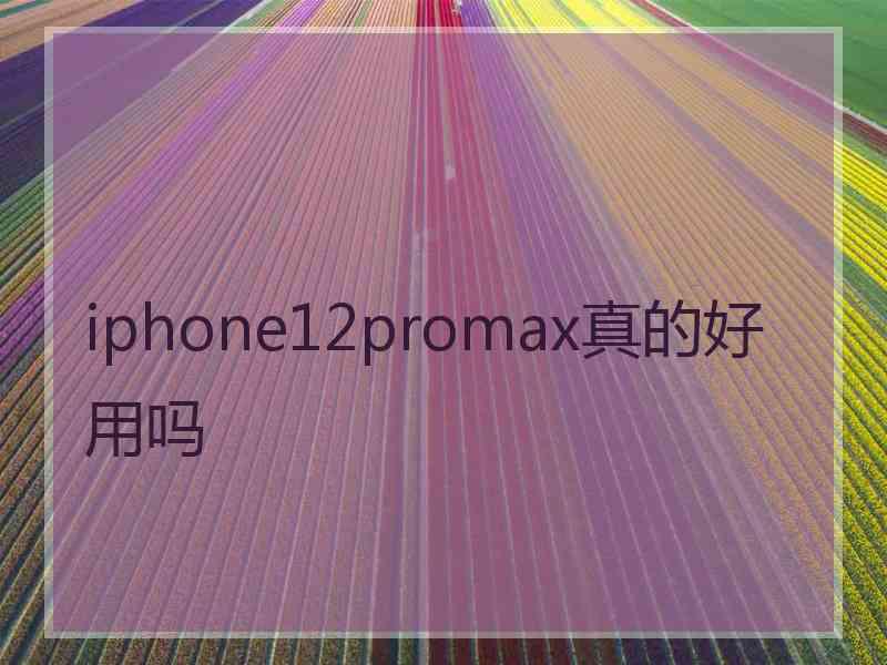 iphone12promax真的好用吗