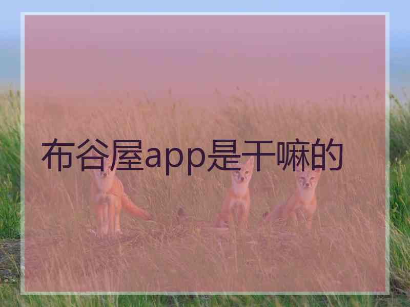 布谷屋app是干嘛的