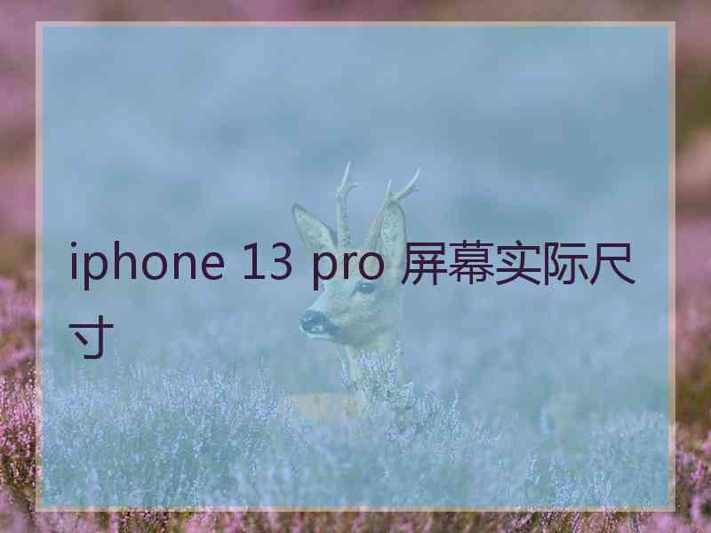 iphone 13 pro 屏幕实际尺寸