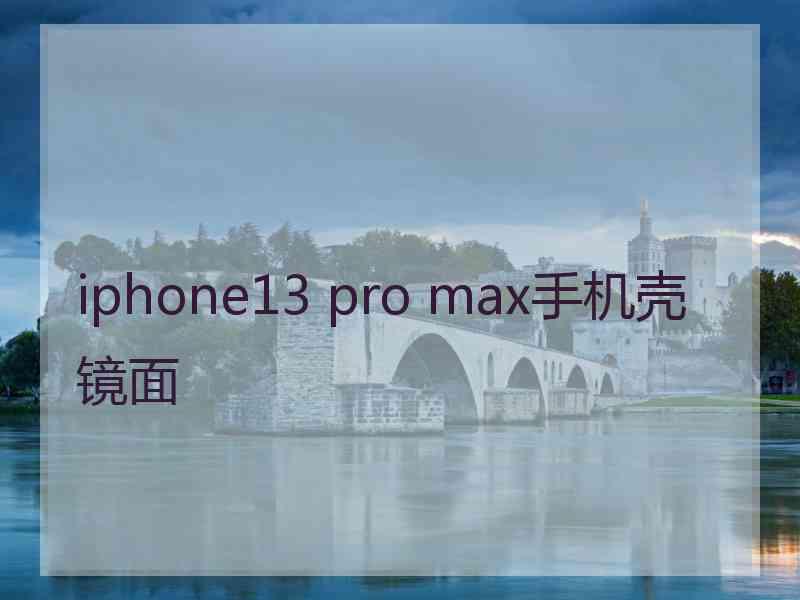 iphone13 pro max手机壳镜面