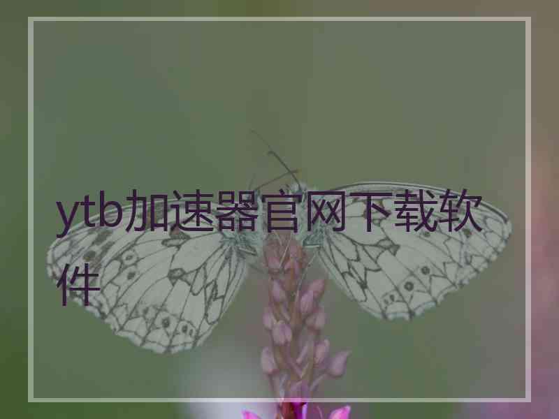 ytb加速器官网下载软件