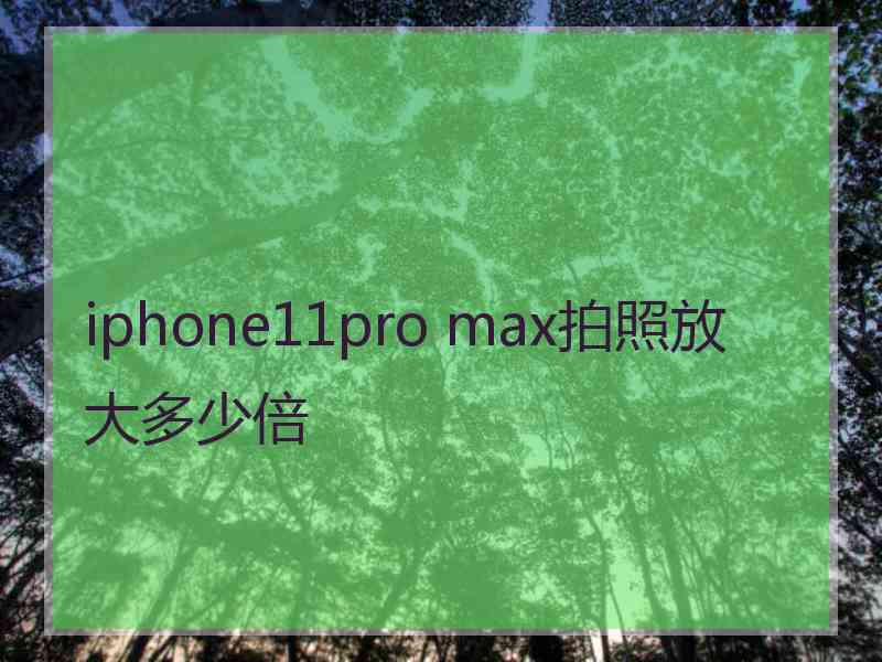 iphone11pro max拍照放大多少倍