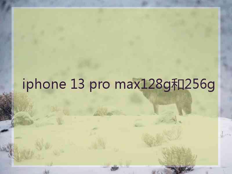 iphone 13 pro max128g和256g