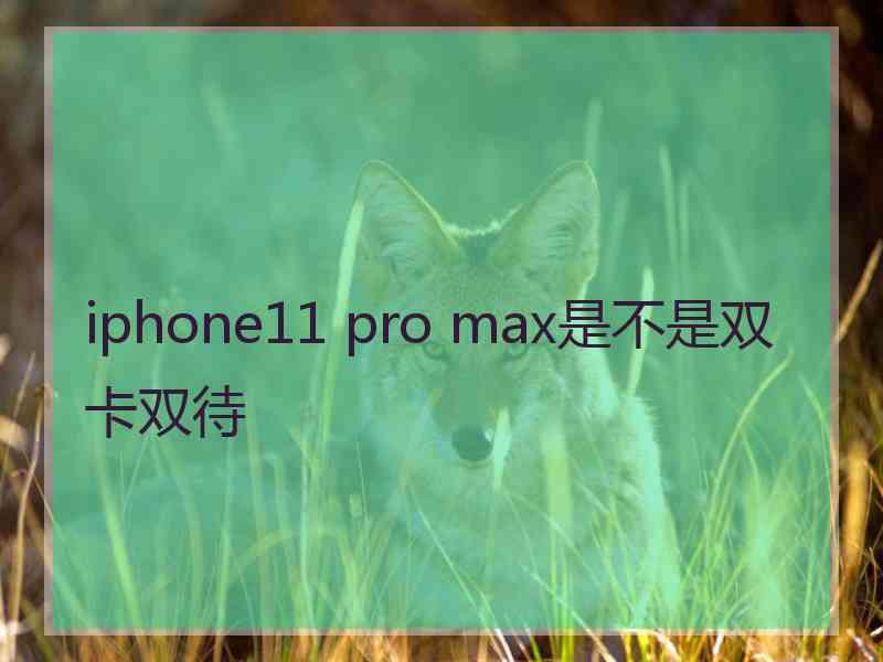 iphone11 pro max是不是双卡双待