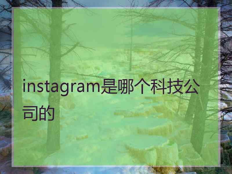 instagram是哪个科技公司的