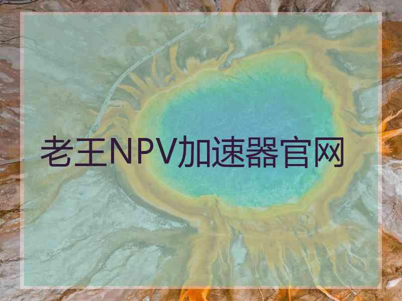 老王NPV加速器官网