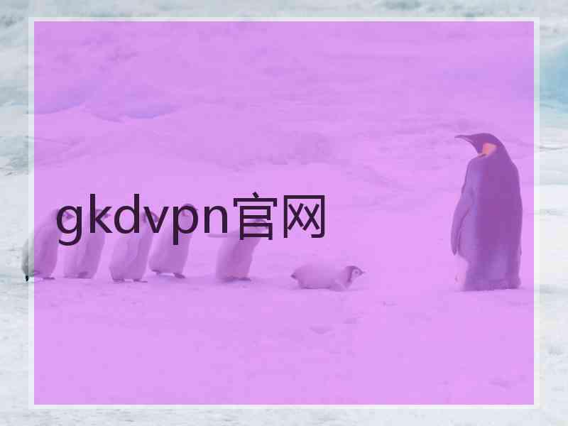 gkdvpn官网