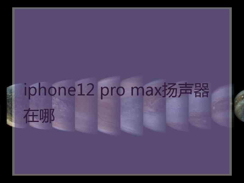 iphone12 pro max扬声器在哪