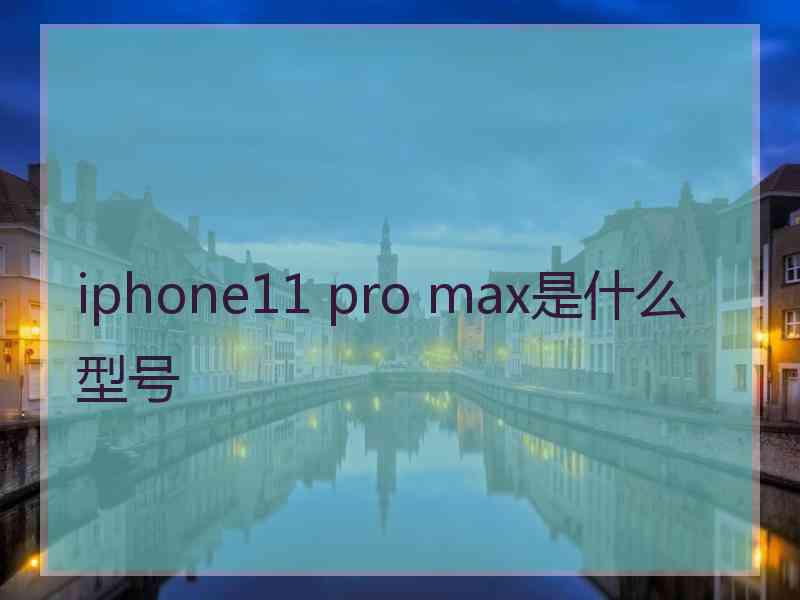 iphone11 pro max是什么型号