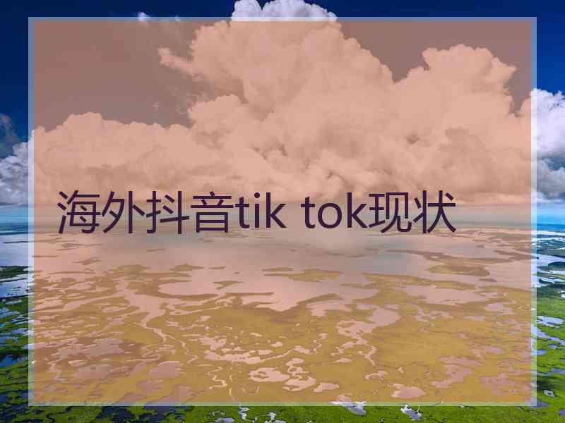 海外抖音tik tok现状