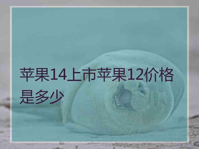 苹果14上市苹果12价格是多少