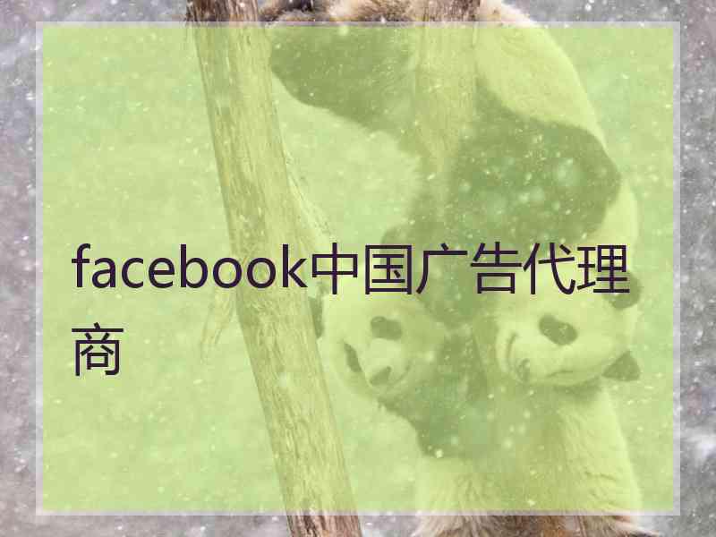 facebook中国广告代理商