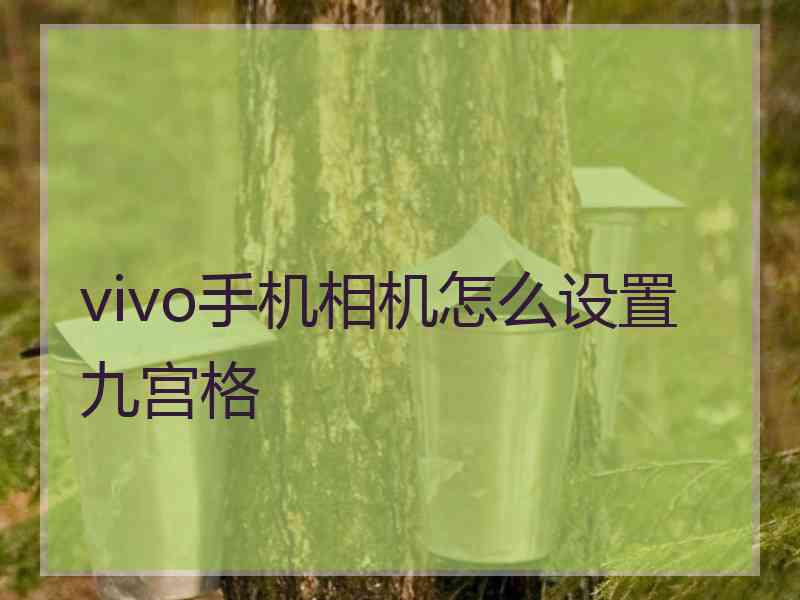 vivo手机相机怎么设置九宫格