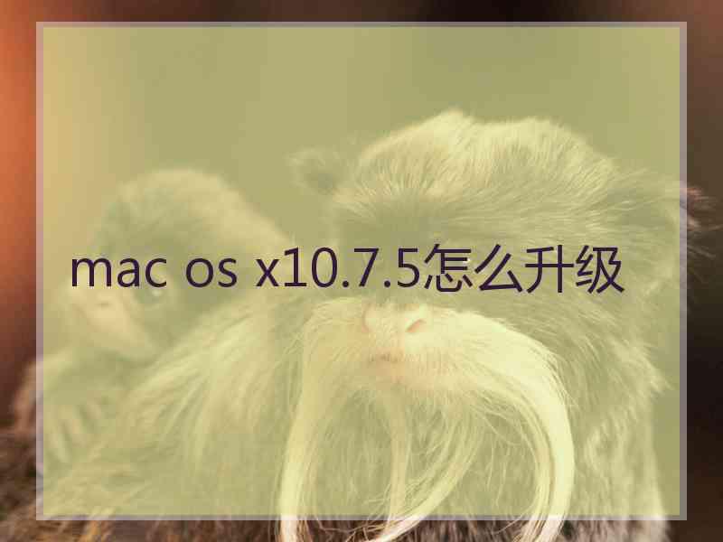 mac os x10.7.5怎么升级