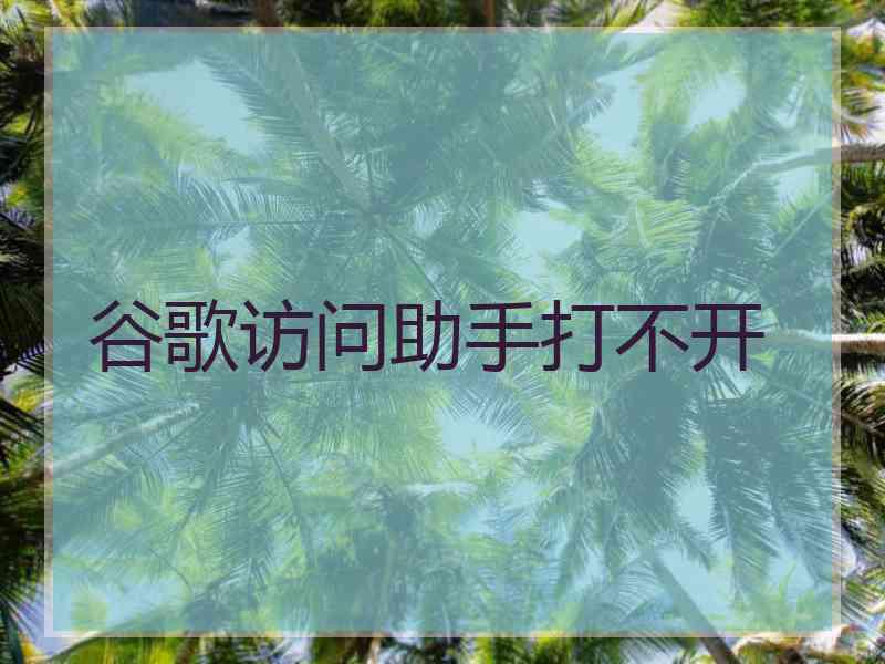 谷歌访问助手打不开