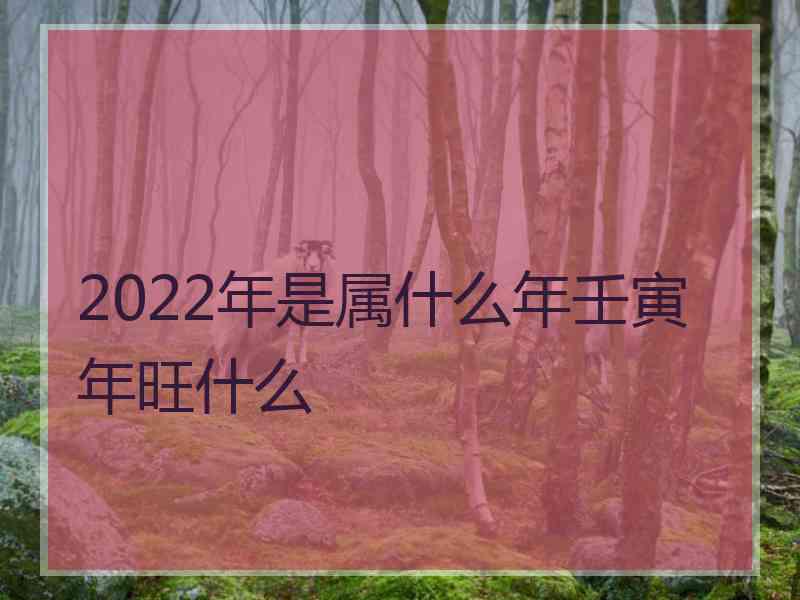 2022年是属什么年壬寅年旺什么