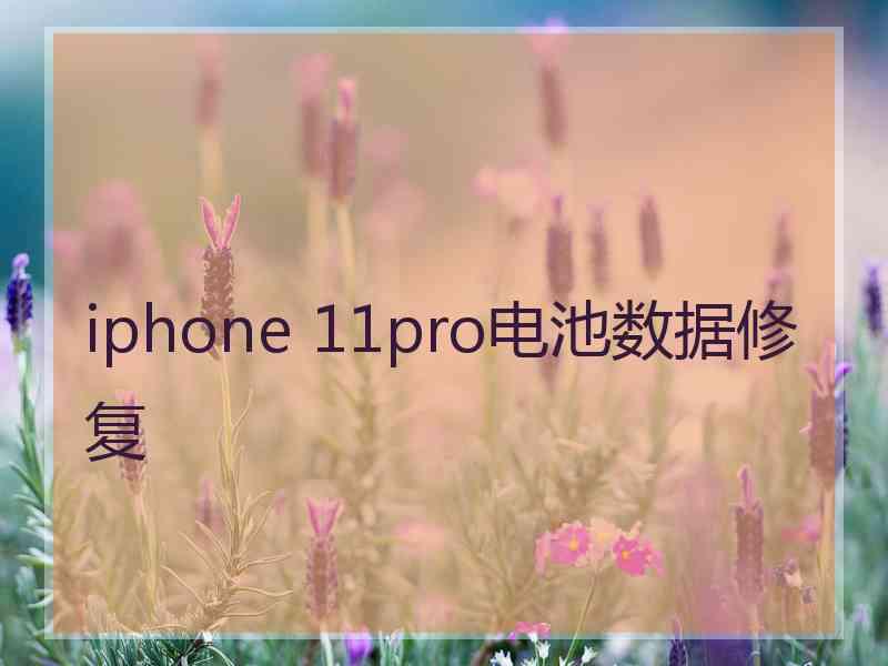 iphone 11pro电池数据修复