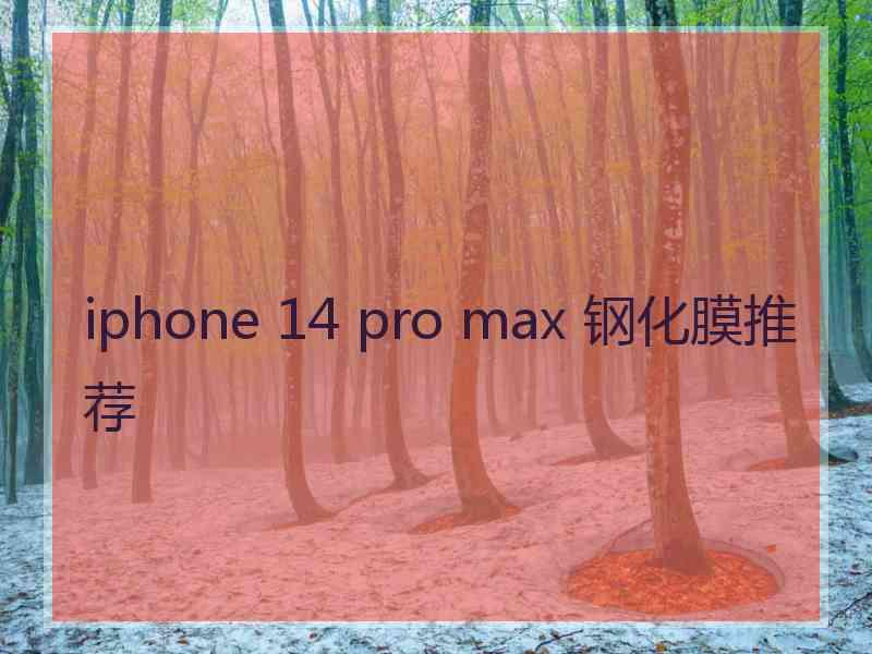 iphone 14 pro max 钢化膜推荐