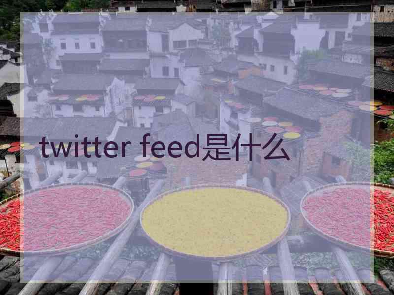 twitter feed是什么