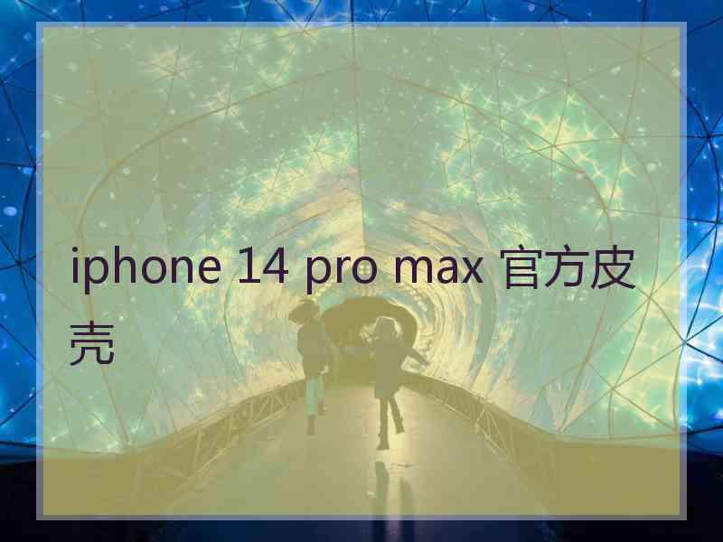 iphone 14 pro max 官方皮壳