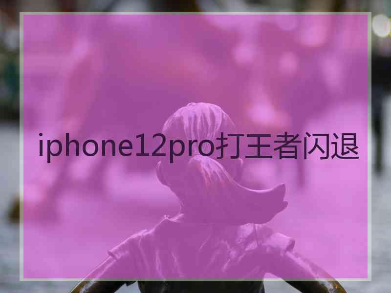 iphone12pro打王者闪退