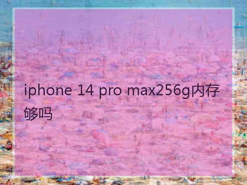 iphone 14 pro max256g内存够吗