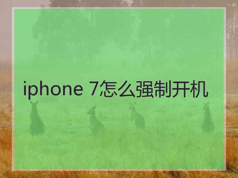 iphone 7怎么强制开机