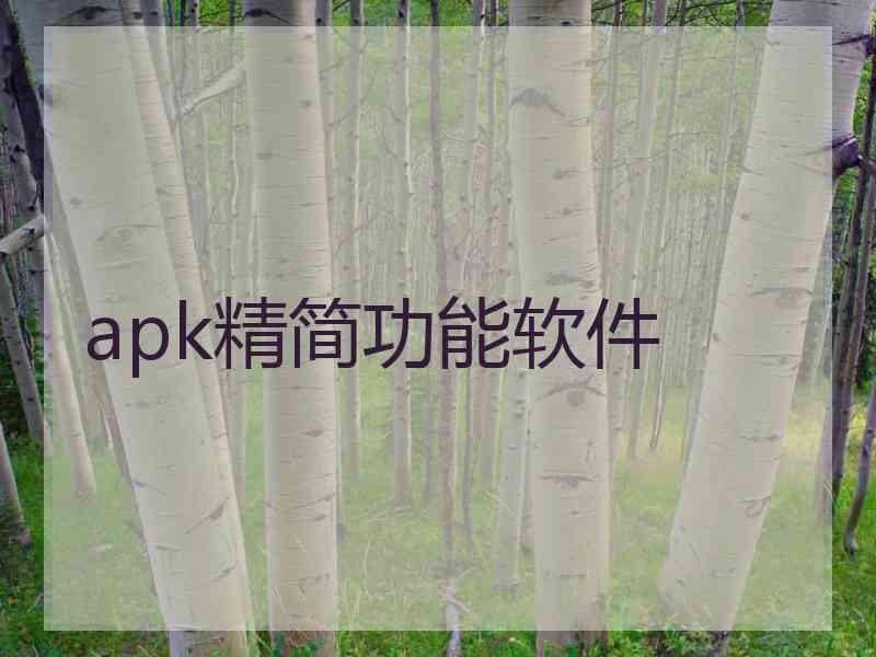 apk精简功能软件