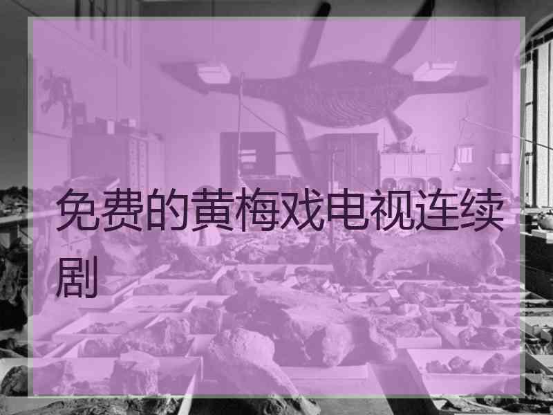 免费的黄梅戏电视连续剧