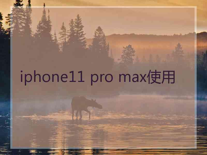 iphone11 pro max使用