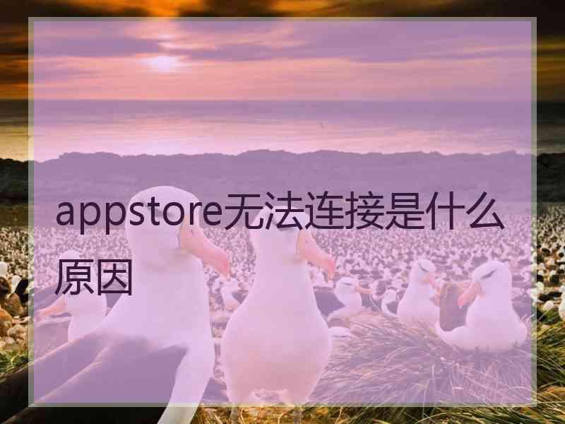 appstore无法连接是什么原因