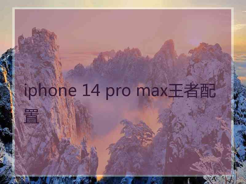 iphone 14 pro max王者配置