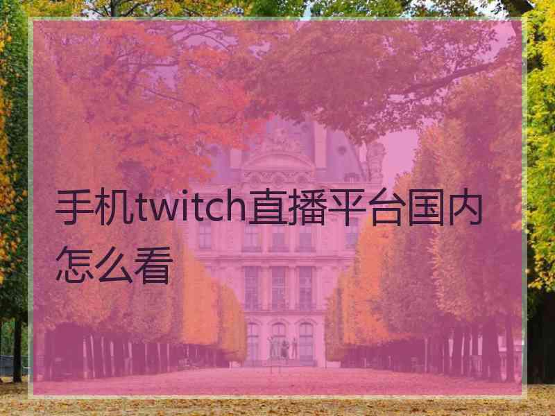 手机twitch直播平台国内怎么看